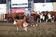 28.08.12 Futurity Moffat thumb