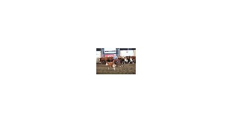 28.08.12 Futurity Moffat thumb