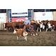 Canadian cutting maestro Moffat sets sights on Stampede Futurity