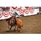 Double dexterity: Pedersen claims second Elite Western Rider Award