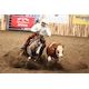 10-Day Equine Highlights from the 2012 Calgary Stampede