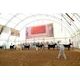 10-Day Beef Highlights from the 2012 Calgary Stampede