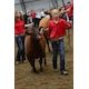 Ag’s bright lights hailed by International Youth Livestock program