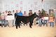 14.07.12 UFA Steer Classic thumb