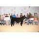 Ontarians dial up long distance for UFA Steer Classic win