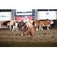 Chubby puts on a cutting clinic en route to second Stampede crown