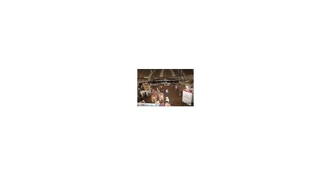 11.07.12 HHP auction thumb