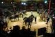 10.07.12 HHP Auction thumb