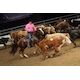 Lesh brothers ridin’ high again in team penning’s Open Class