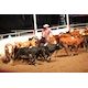 Armstrong twins double their pleasure with 14 Class penning crown