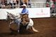 05.07.12 Working Cow Horse thumb
