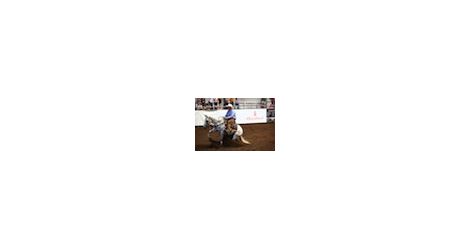 05.07.12 Working Cow Horse thumb