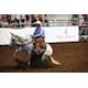 Clearwater puts the ‘work’ in Stampede’s Working Cow Horse Classic