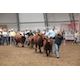 International Youth Livestock organizers preparing a special salute
