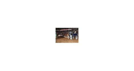 03.07.12 Heavy Horse Show thumb