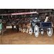 Willow Way’s celebrated Clydes set for Six Horse Hitch showdown