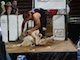 02.07.12 Shearing Troendle thumb