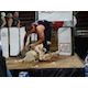 Globetrotting, sheep-shearing Troendle seeks first Stampede crown