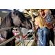 Horse Haven: Stampede’s light-horse love-in celebrates 35th anniversary