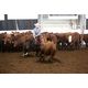 Centennial Trophy Saddles, elite hardware up for grabs in 2012