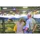 From pasture to plate, Cattle Trail tells the beef industry’s story