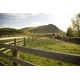 100 Year Birthday Gift: Philanthropist, rancher and businessman Bill Siebens gifts historic Alberta ranching property to the Calgary Stampede Foundation