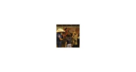 Stampede school thumbnailThumbnail