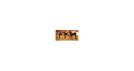 08.05.31Stampede4h001-001