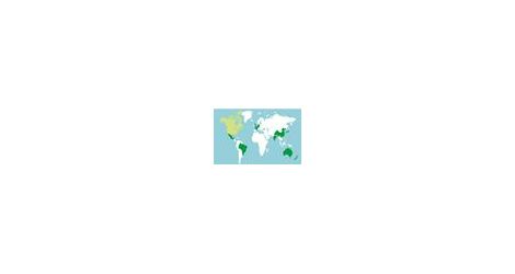 around the world jpeg 80px