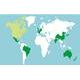 Stampede around the world