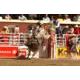 “We’re Greatest Together” – a fitting description of the superstars invited to the Centennial Stampede Rodeo