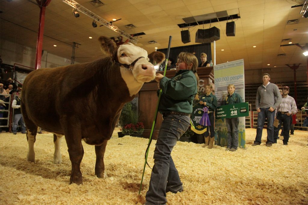 4-H on Parade