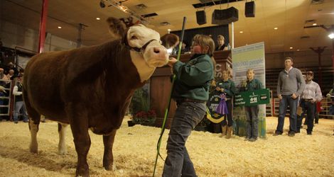 4-H on Parade