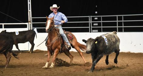 14 class team penning
