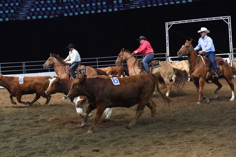 10 Class Team Penning Reserve Champions
