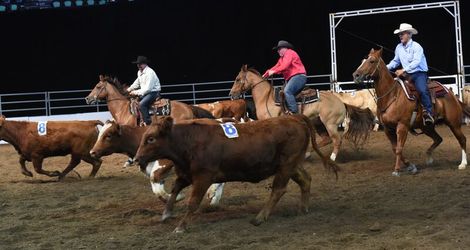 10 Class Team Penning Reserve Champions
