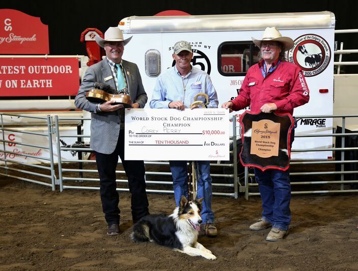 Corey Perry World Stock Dog Champion 2015