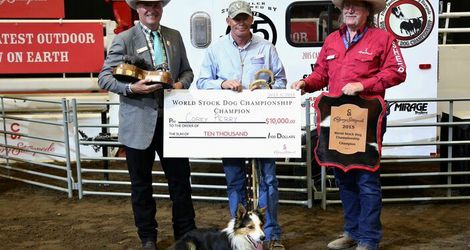 Corey Perry World Stock Dog Champion 2015
