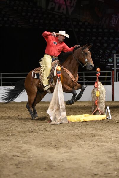Runt Rageth, Cowboy Up Grand Champion