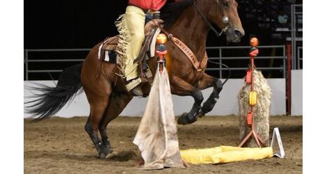 Runt Rageth, Cowboy Up Grand Champion