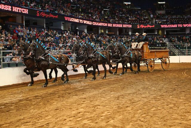 World Championship Six Horse Hitch Grand Champion