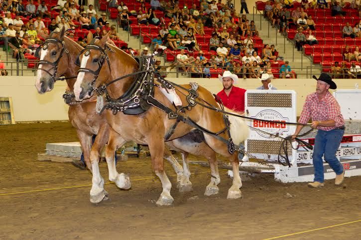 2014 Heavy Horse Pull