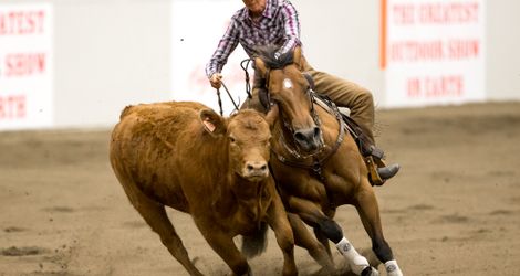 Open Bridle Champion Suzon Schaal