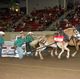 Witman Team Top Light Weight Pullers