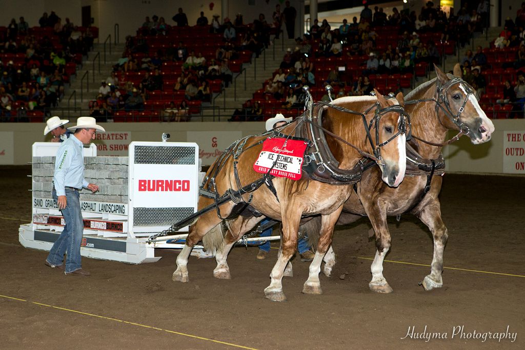 HorsePull-HeavyweightChampion