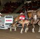 DODGE DOES IT AGAIN, HEAVY WEIGHT TEAM TAKES HEAVY HORSE PULL
