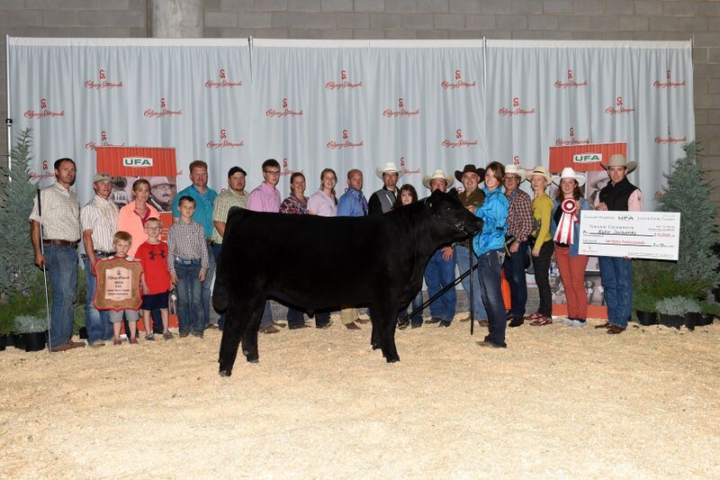 UFA Junior Steer Classic, Grand Champion Katie Serhienko