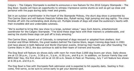 Dog Bowl 2016