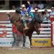 Utah cowboys and Calgary Stampede horses dominate day one 