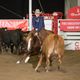 Travis Rempel and This Cats Max capture Open division title in Calgary Stampede Cutting Horse Competition